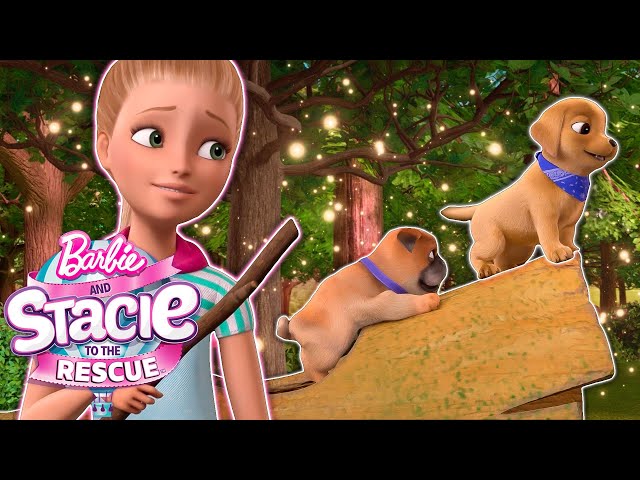 Kursus Rintangan Anak Anjing Barbie! | Klip Film | Barbie And Stacie To The Rescue!