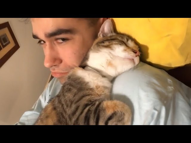 My soul is purified by the love of my cat -  Cute moments cat and human