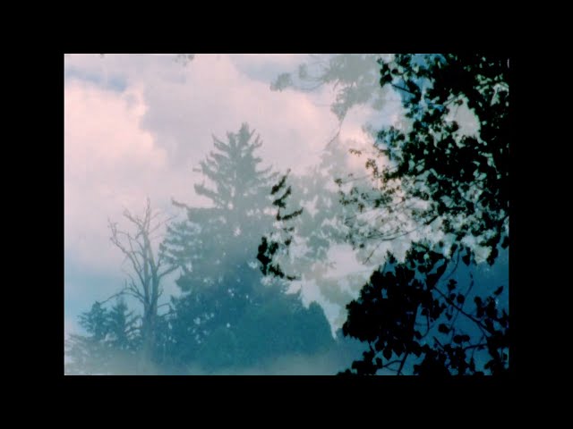 Drab Majesty - "Cape Perpetua" (Official Video)
