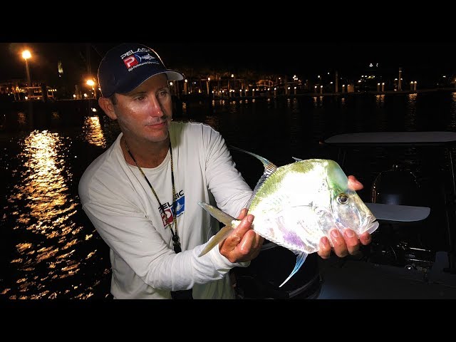 MOONFISH "Look Down" {Catch Clean Cook} With DINGO!!!