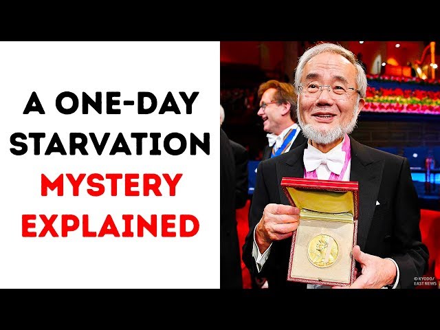 A One-Day Starvation Secret Got the Nobel Prize