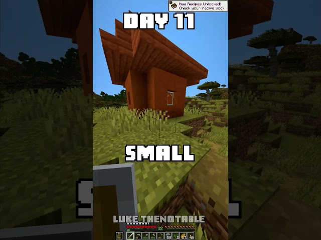 100 Days - [Minecraft Shorts] - Day 11 #minecraft #100days