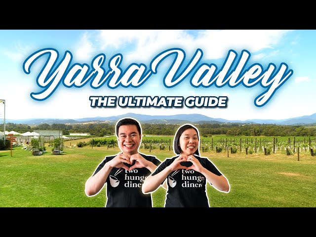 YARRA VALLEY TOP 14 THINGS TO DO and Best Wineries To Visit | Melbourne Travel Guide