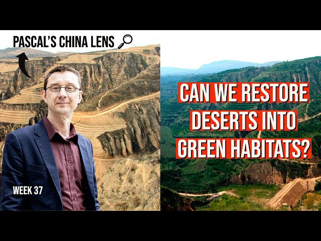 Can we turn deserts into green habitats? - Pascal's China Lens week 37