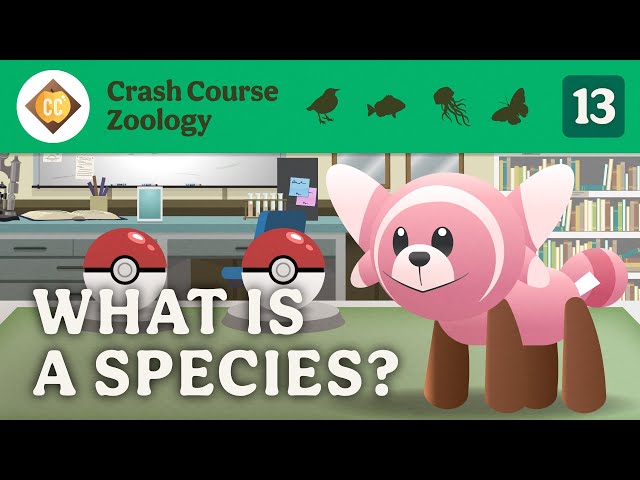 What is a Species? Crash Course Zoology #13