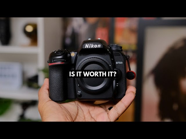 Should YOU BUY the NIKON D7500 in 2024?
