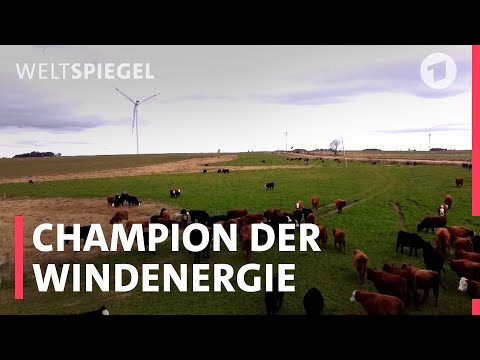 Uruguay: So wurde das Land zum Windenergie-Champion | Weltspiegel