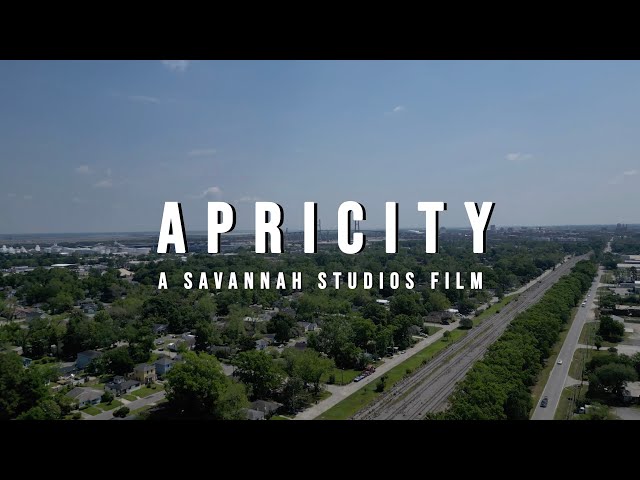 Behind the Scenes of "Apricity" - A SCAD Senior Thesis Film