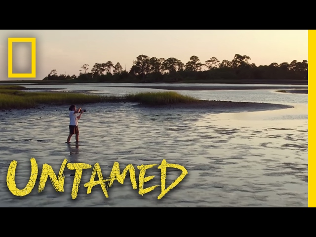 Untamed with Filipe DeAndrade (Trailer) | Nat Geo Wild