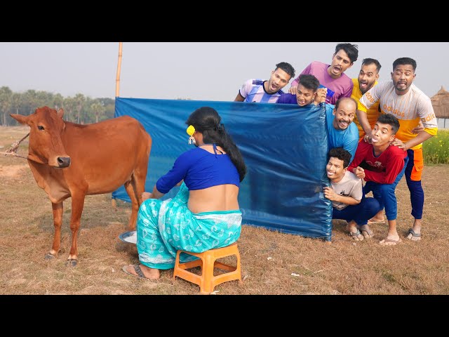 Must Watch New Special Comedy Video 2024 😎Totally Amazing Comedy Episode 253 by Busy fun ltd