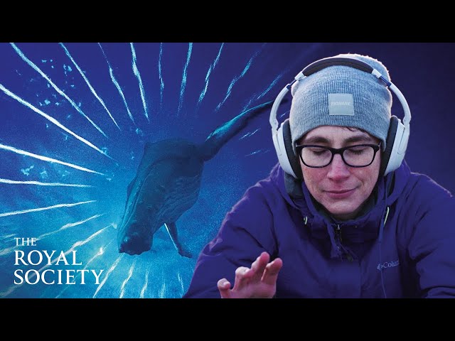 Why whale song is like pop music | The Royal Society