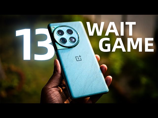 Yes, you have to Wait for OnePlus 13!