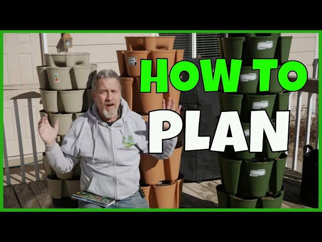 How to Plan in a GreenStalk Planter