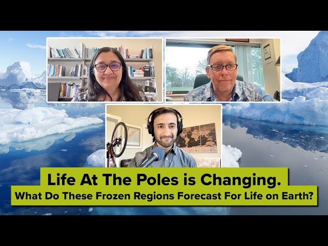 Life At The Poles is Changing. What Do These Frozen Regions Forecast? (SciFri Live Zoom Call-in)