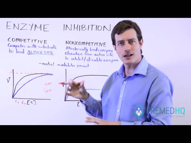 Types of Enzyme Inhibition: Competitive vs Noncompetitive | Michaelis-Menten Kinetics