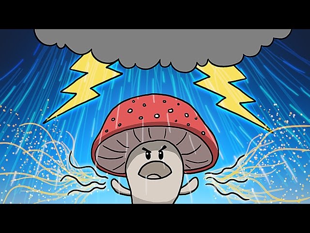 How Mushrooms Make It Rain