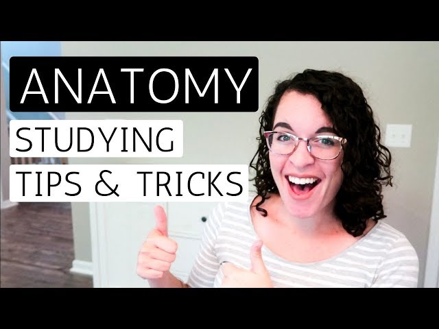 HOW TO STUDY FOR ANATOMY