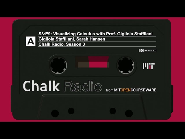 Visualizing Calculus with Prof. Gigliola Staffilani (S3:E9)
