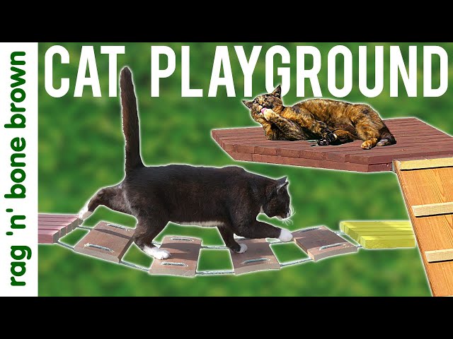 Building The CAT ADVENTURE PLAYGROUND // Catio