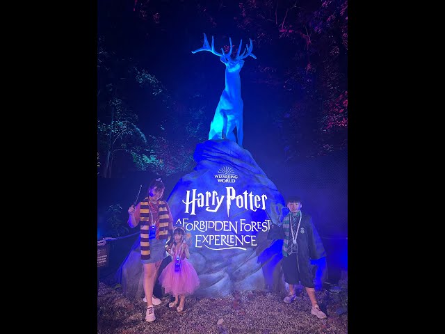 Step into the Harry Potter - Forbidden Forest Experience NOW! Don't forget to cast your spells!