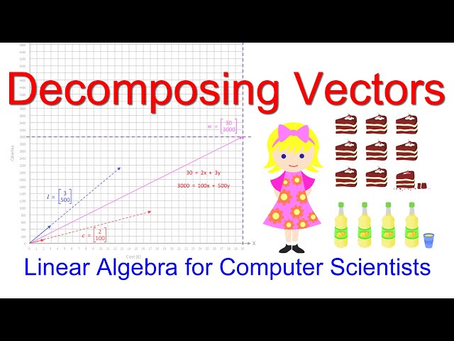Linear Algebra for Computer Scientists.  9. Decomposing Vectors