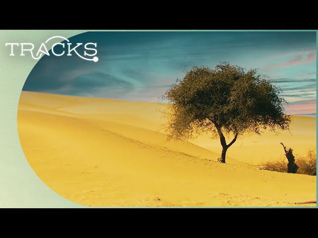 Thar: The Incredible Living Desert | Deserts And Life