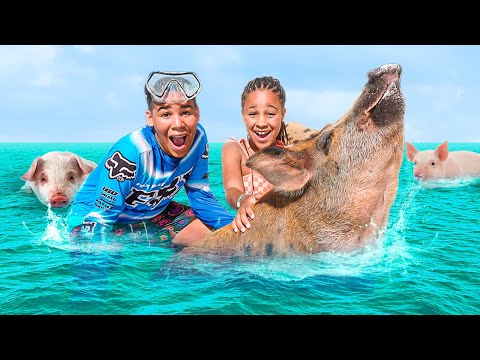 Kids SWIM WITH PIGS, They INSTANTLY Regret It | FamousTubeFamily