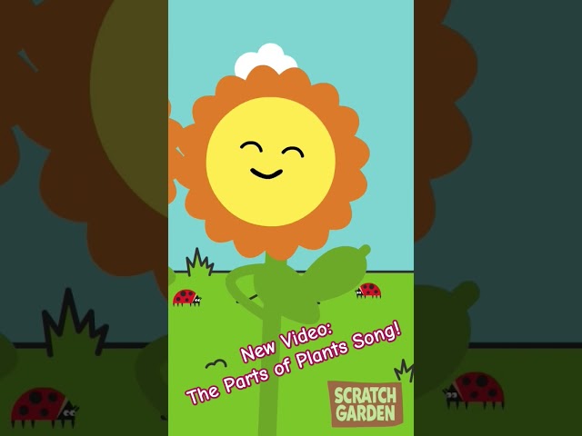 Let's Learn About Plants! #scratchgardensongs #sciencesongs #botany