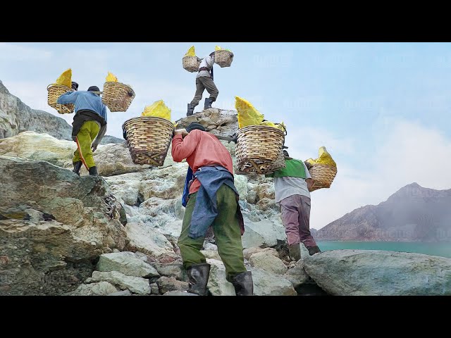 The Extreme Day in the Life of Volcanic Sulfur Miners