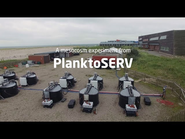 A mesocosm experiment from PlanktoSERV