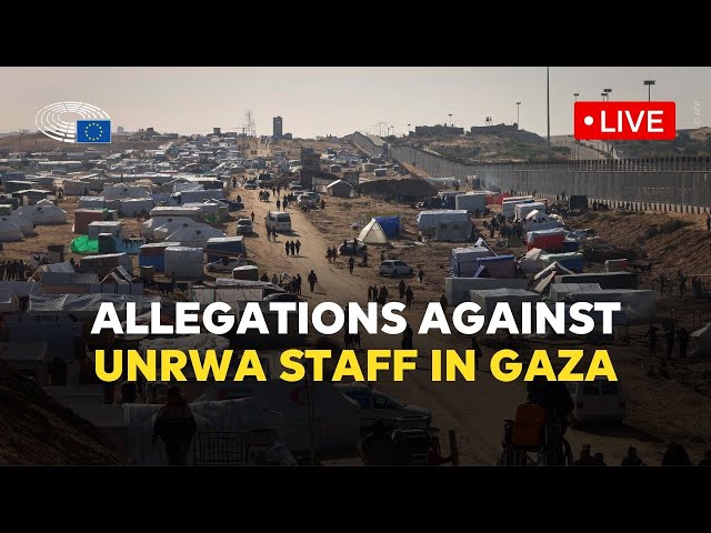 Allegations against United Nations staff and the impact on the humanitarian situation in Gaza