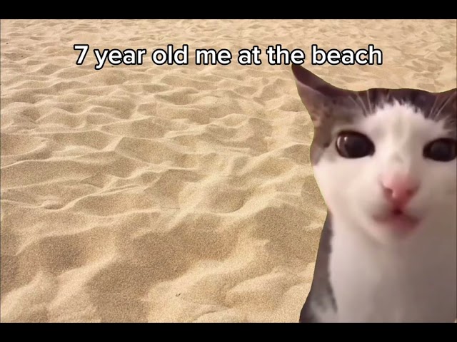 7 year old me at the beach