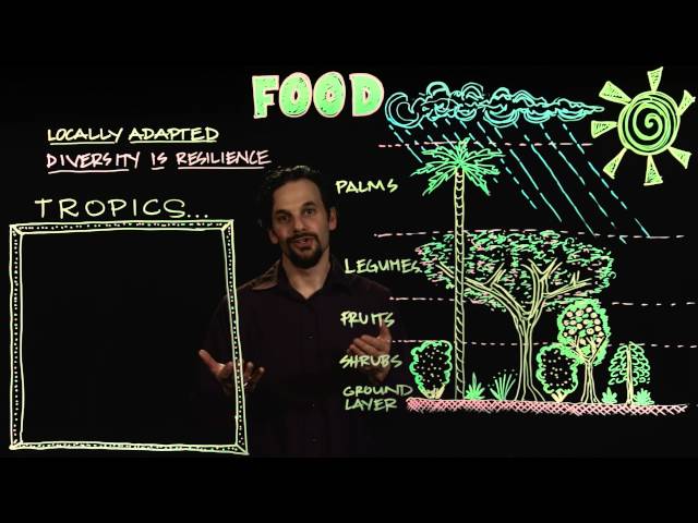 Permaculture Design for Food