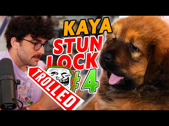 Hasanabi gets STUNLOCKED by KAYA #4 | Dog Troll chatter joins the STUNLOCK