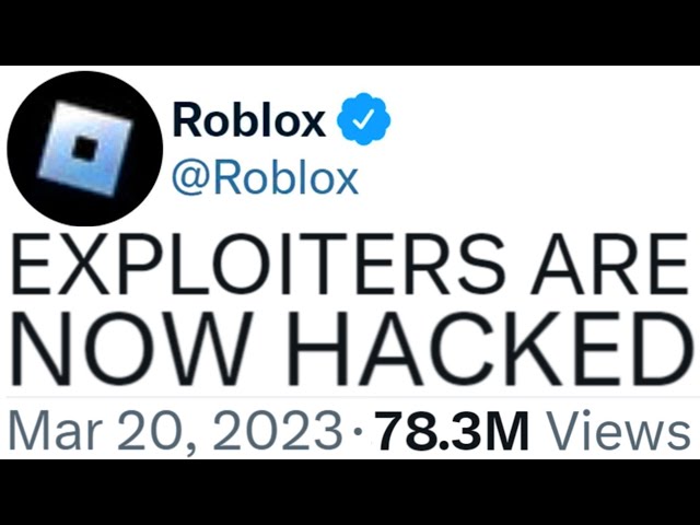 Every Roblox Hacker Just Got HACKED...