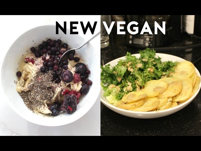BEGINNING VEGAN: What I eat in a Day
