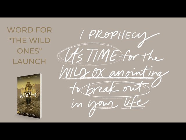 PROPHESYING OVER YOU // It’s time for the wild ox anointing to break out in your life!