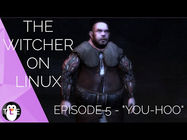 The Witcher On Linux - Episode 5 - YOUHOU