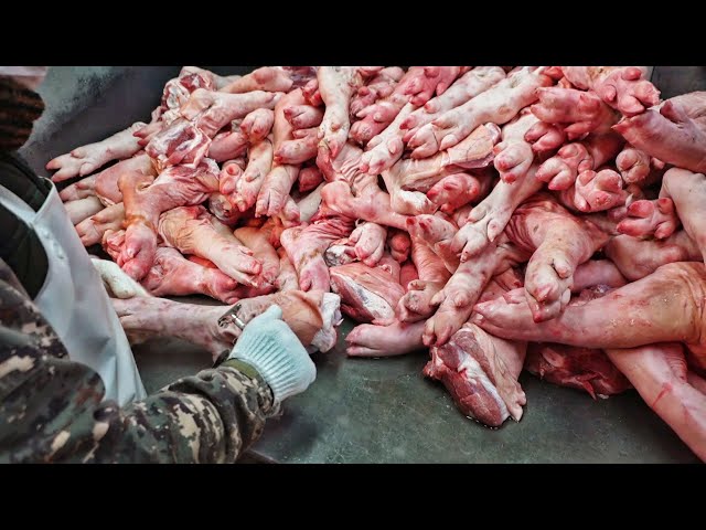 "500Kg pile every day" How to care for pig's feet / Choosing a good pork foot / Korean street food