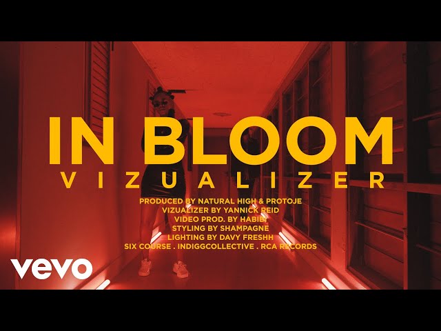 Protoje - In Bloom ft. Lila Iké (Visualizer)