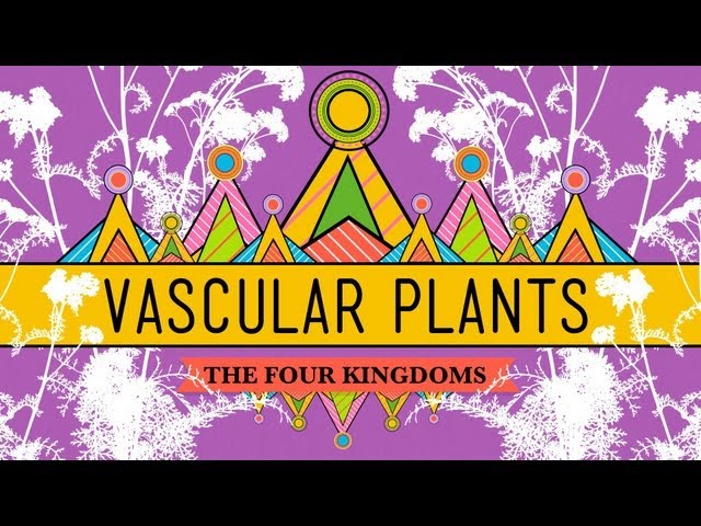 Vascular Plants = Winning! - Crash Course Biology #37