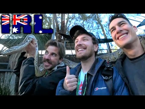 Exploring Wild Animals In Australia! ft. I did a thing & Boy Boy