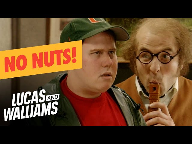 Ray McCooney vs American Tourists | Little Britain | Lucas and Walliams