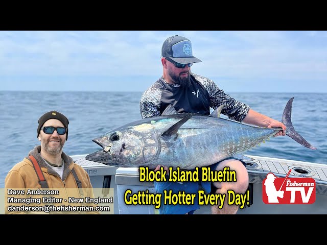 July 20th, 2023  New England Video Fishing Forecast with Dave Anderson