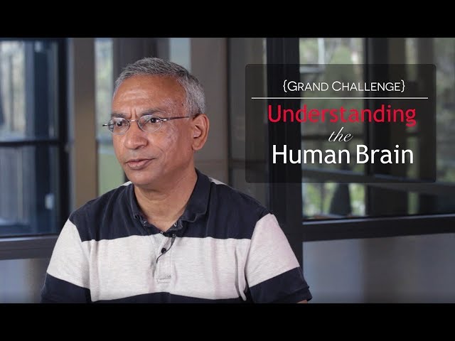 Understanding the Human Brain