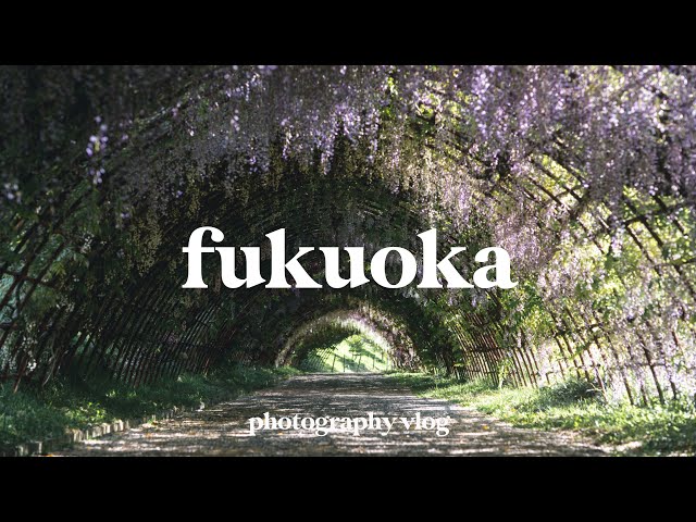 2 Days in Fukuoka | Photography Vlog