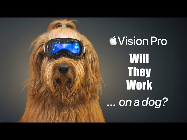 My dog tries Apple Vision Pro...