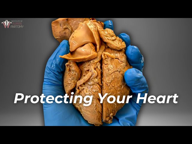 The Worst Kind of Heart Disease & How to Prevent It