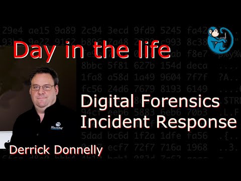 Day in the Life of DFIR