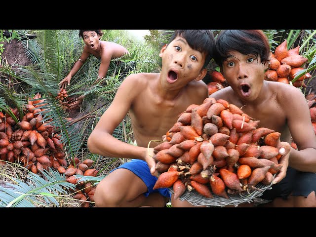 Rainforest Feast: Salacca Snake Fruit Adventure & Exquisite Wilderness Dining | Kmeng PreyTV